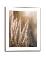 Tavla Slim Frame Wood 40x50 Sunset Grasses