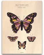 Poster 40x50 Barnmotiv Butterflies Vintage