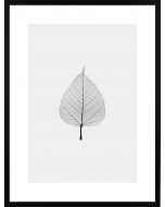 Poster 30x40 Light Leaf (Planpackad)