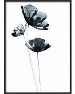 Poster 50x70 Blue Flower (Planpackad)